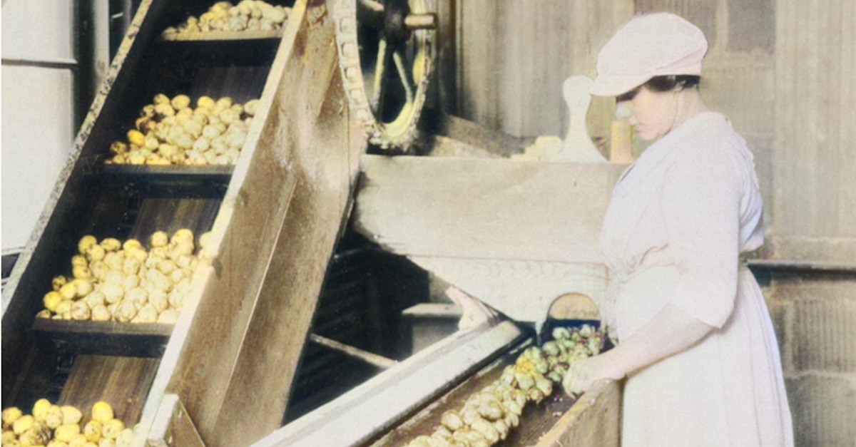 A woman watches potatoes move down a conveyor belt, Public Domain, The US National Archives, recoloured by deepai.org